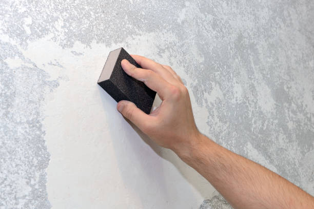Trusted Hypoluxo, FL Mold Removal Experts