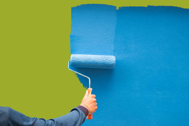Mold Odor Removal Services in Hypoluxo, FL